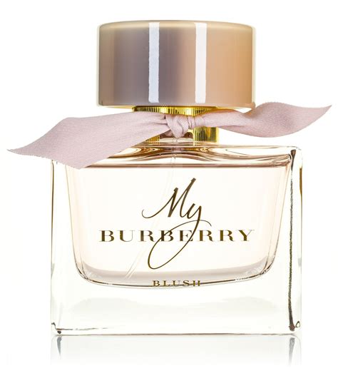 my burberry fragrantica|my burberry perfume boots.